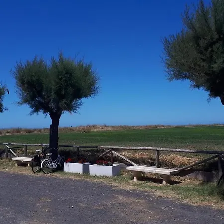 Alloggio Turistico Il Bucchero Apartment Lido di Tarquinia